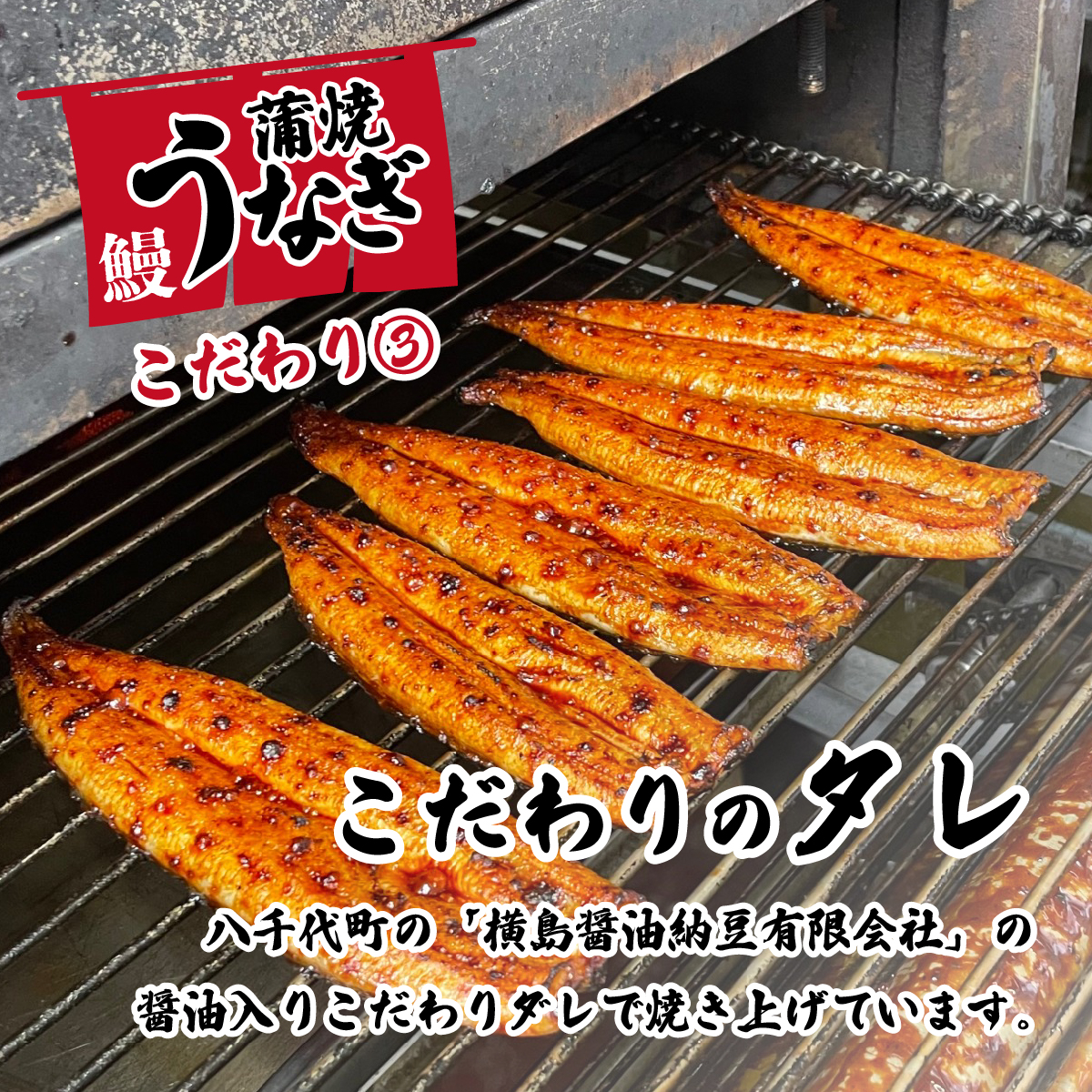 茨城県八千代町のふるさと納税 【最速発送】【 訳アリ 】 国産うなぎ 蒲焼き 3尾 セット ( 380g ) 大きさ の不揃い 山椒付き うなぎ ウナギ 国産 蒲焼 鰻 茨城 訳あり 八千代町 ふるさと納税 11000円 1週間以内発送 [SF001ya]