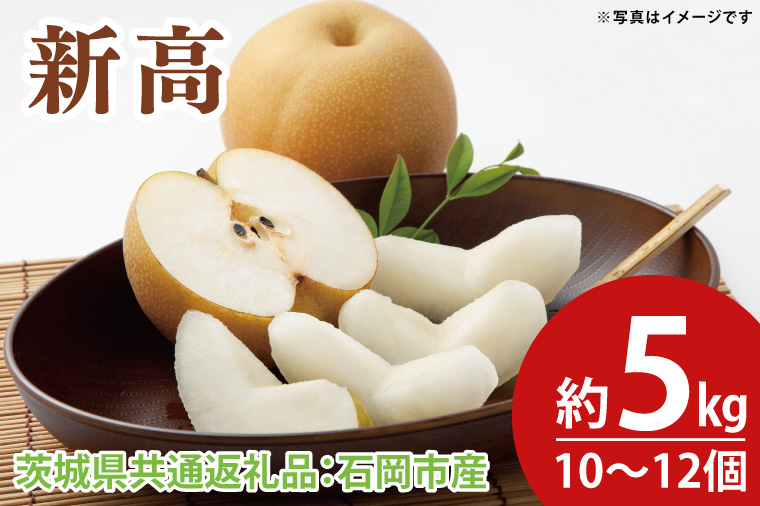 新高 約5kg 10～12個（茨城県共通返礼品：石岡市産）※2024年10月上旬～10月下旬頃に順次発送予定（CD066）