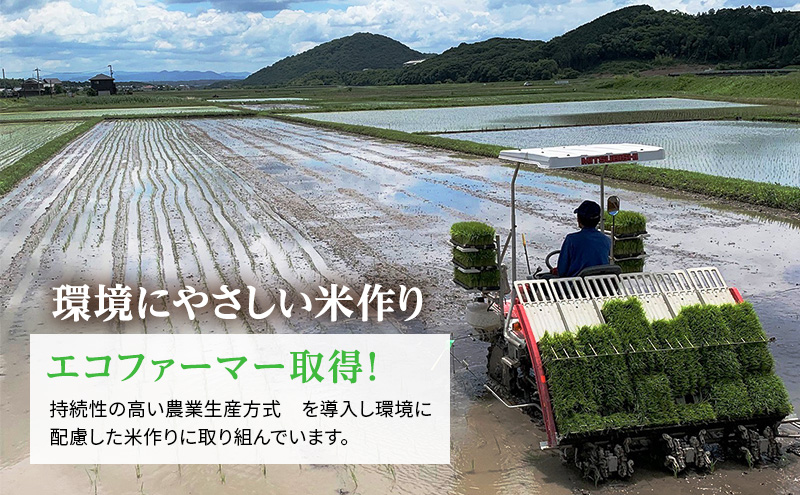 令和6年産新米予約受付】きぬむすめ 3kg 単一原料米 おいしい お