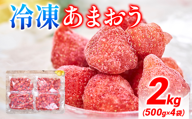 福岡産 冷凍あまおう 2kg(500g×4袋) あまおう イチゴ いちご スイーツ 果物 フルーツ 送料無料 冷凍フルーツ ジャム 苺 ケーキ  スムージー いちご飴 かき氷 フルーツ大福 クリスマス 大木町産 南国フルーツ CO027|南国フルーツ株式会社