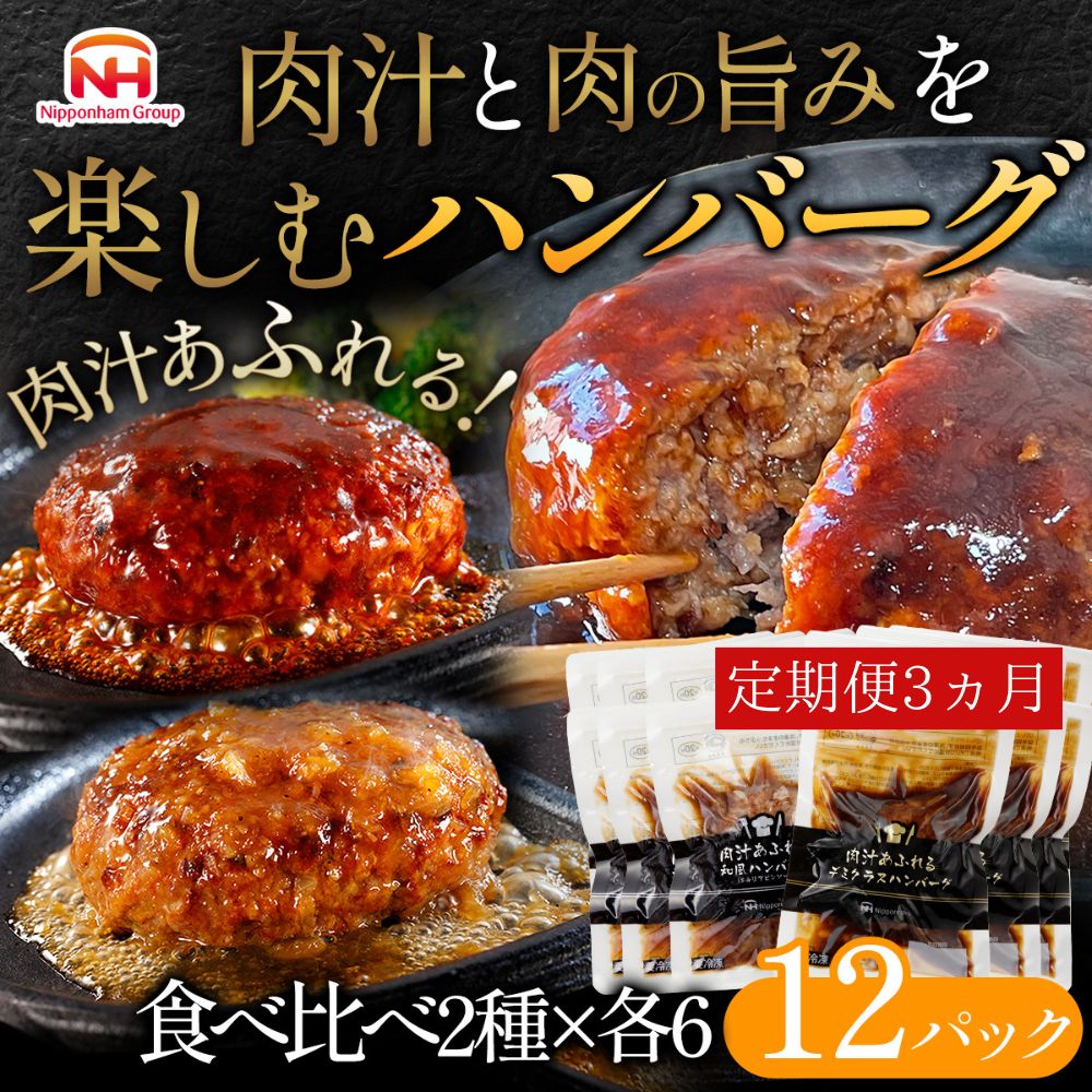 【茨城県常総市】【定期便】肉汁あふれるハンバーグ2種12個セット(デミグラス&和風)3ヶ月定期便