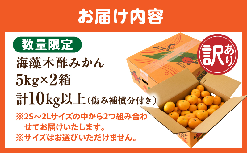 宮崎県日南市のふるさと納税 訳あり 数量限定 海藻木酢みかん 計10kg以上 傷み補償分付き フルーツ 果物 くだもの 柑橘 みかん　国産 期間限定 食品 家庭用 自宅用 B品 わけあり オレンジ デザート おやつ おすすめ おすそ分け ご褒美 お取り寄せ グルメ 産地直送 宮崎県 日南市 送料無料_BAV1-24