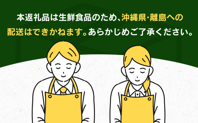 宮崎県日南市のふるさと納税 訳あり 数量限定 海藻木酢みかん 計10kg以上 傷み補償分付き フルーツ 果物 くだもの 柑橘 みかん　国産 期間限定 食品 家庭用 自宅用 B品 わけあり オレンジ デザート おやつ おすすめ おすそ分け ご褒美 お取り寄せ グルメ 産地直送 宮崎県 日南市 送料無料_BAV1-24