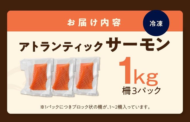 大阪府泉佐野市のふるさと納税 アトランティックサーモン 1kg 刺身用ポーション 小分け 3パック 真空パック 099H3167