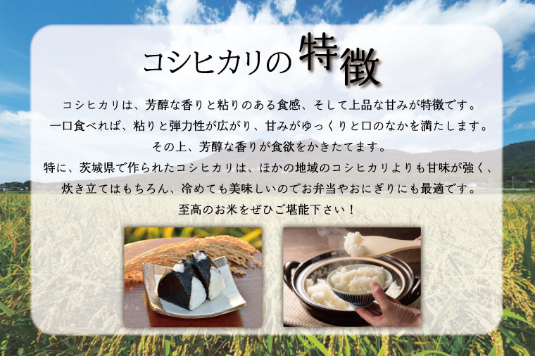 茨城県行方市のふるさと納税 HA-1　★新米★【数量限定】R6年産 コシヒカリ 5kg＋あきたこまち 5kg　茨城県産米　おいしさ食べ比べセット