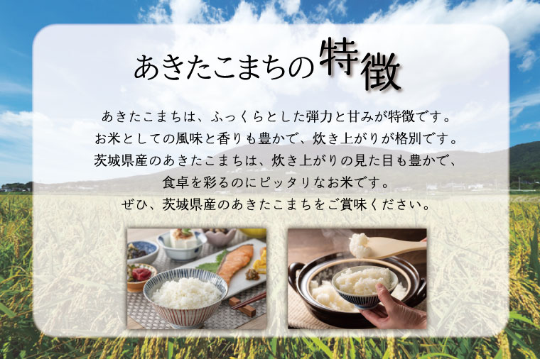 茨城県行方市のふるさと納税 HA-1　★新米★【数量限定】R6年産 コシヒカリ 5kg＋あきたこまち 5kg　茨城県産米　おいしさ食べ比べセット