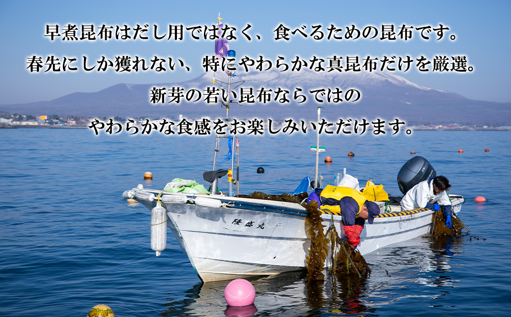 楽天市場】【ふるさと納税】昆布 北海道産 やわらか早煮昆布