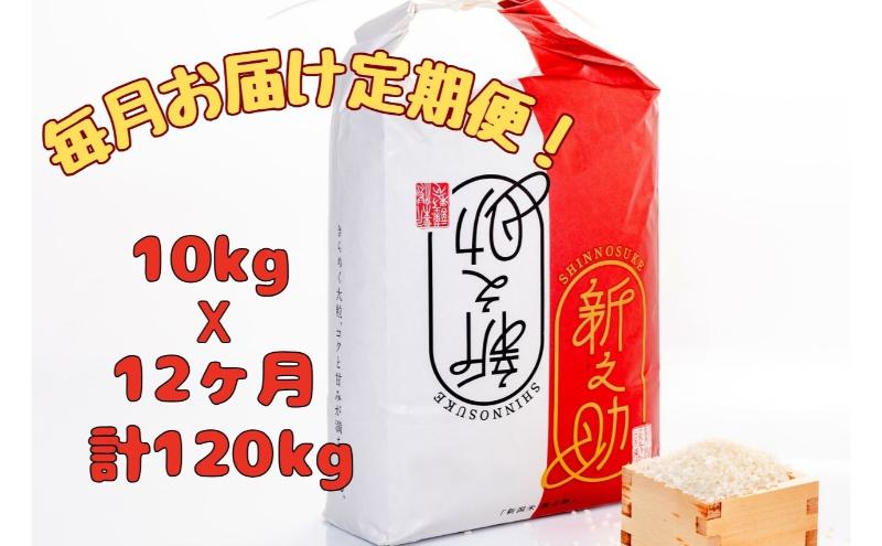 【通年受付】魚沼産新之助　精米10kg（5kgx2袋）全12回 十日町市 十日町 米