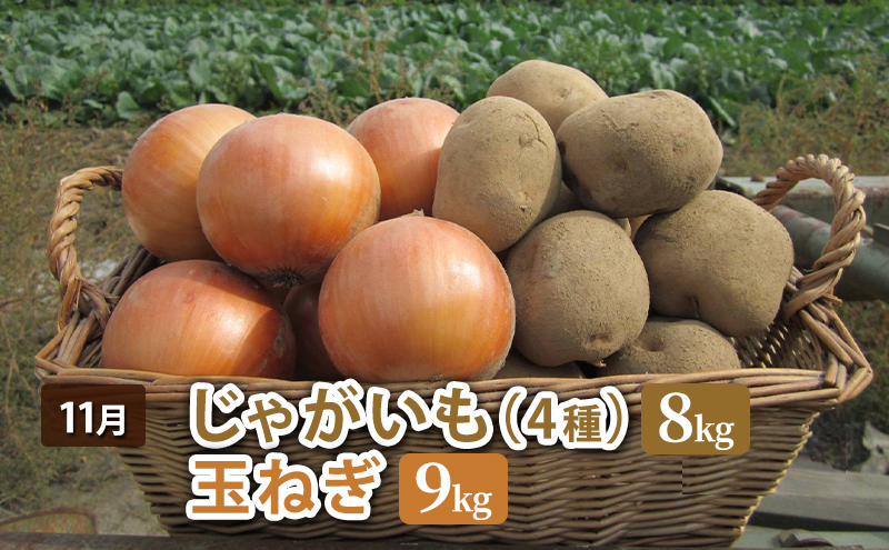 北海道幕別町のふるさと納税 十勝幕別 北の畑のオーナーさん 人気の旬野菜 年3回定期便［2025年5月出荷開始］北海道ホープランド農場 【 アスパラ とうもろこし コーン じゃがいも ジャガイモ 玉ねぎ 野菜 定期便 】