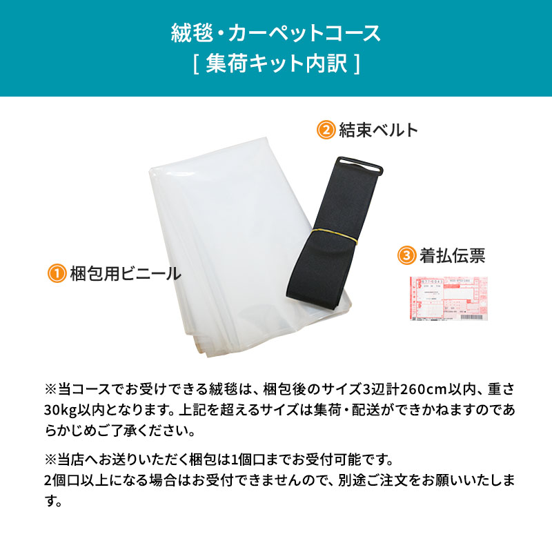 静岡県袋井市のふるさと納税 高品質クリーニング★絨毯のクリーニングクーポン リナビス じゅうたん ラグ  カーペット 洗濯 人気 厳選 袋井市