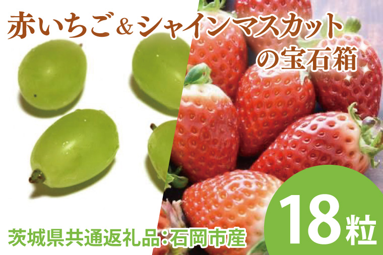 【先行予約】赤いちごとシャインマスカットの宝石箱 18粒（茨城県共通返礼品：石岡市産とかすみがうら市産）　※2024年12月初旬～2025年1月下旬頃に順次発送予定（CD009）