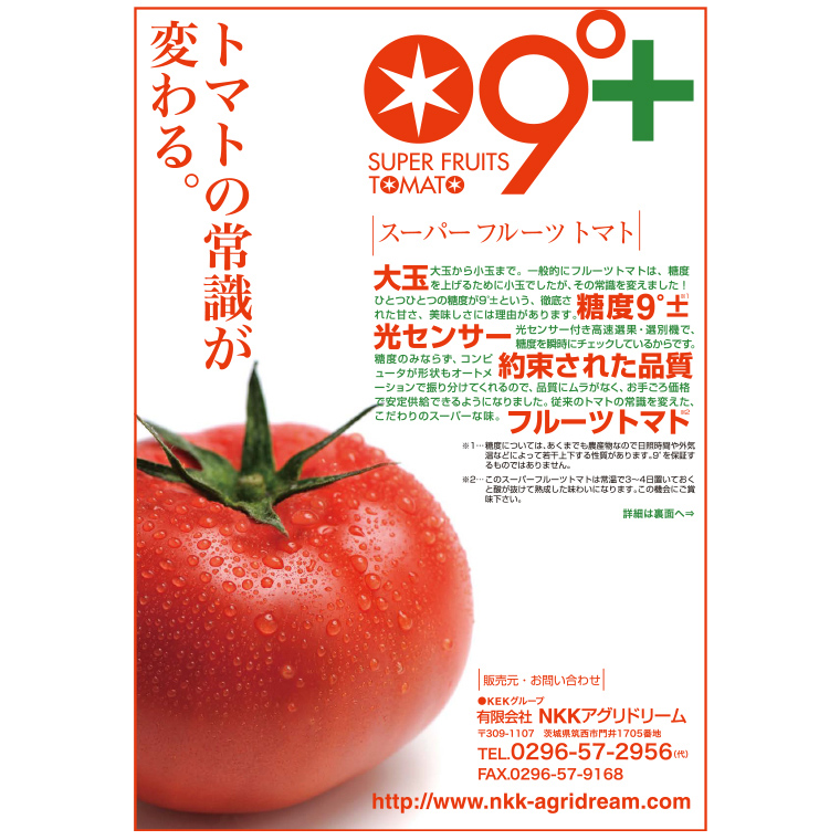 茨城県筑西市のふるさと納税 てるて姫 中箱 約1.2kg × 1箱 【12～15玉/1箱】 てるてひめ 糖度9度 以上 スーパーフルーツトマト 野菜 フルーツトマト フルーツ トマト とまと [AF011ci]