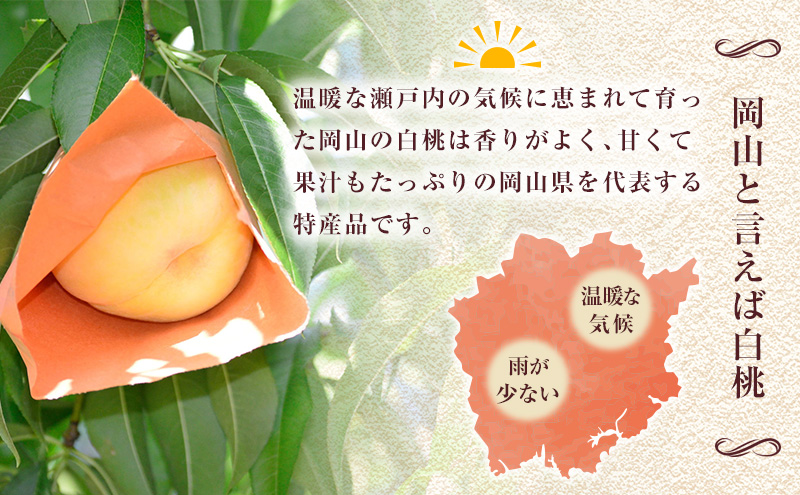 岡山県里庄町のふるさと納税 【 2025年 先行予約 】 桃 岡山県産 日川 白鳳 （白桃） 約1.5kg（5～7玉） 《2025年6月下旬-7月上旬頃出荷》 白桃 岡山 スイーツ フルーツ 果物 先行予約 数量限定 期間限定 岡山 里庄町