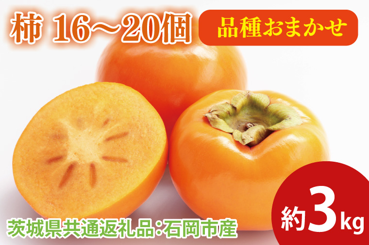 柿 約3kg 16～20個（茨城県共通返礼品：石岡市産）※2024年9月上旬～12月下旬頃に順次発送予定（CD076）