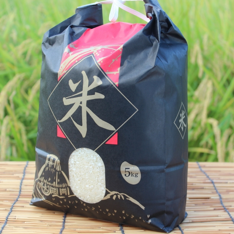 送料無料 【令和6年産 】京都丹波産きぬひかり10kg（5kg