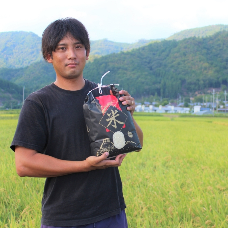 新米 令和6年産 キヌヒカリ 5kg 米 白米 精米 お米 こめ コメ