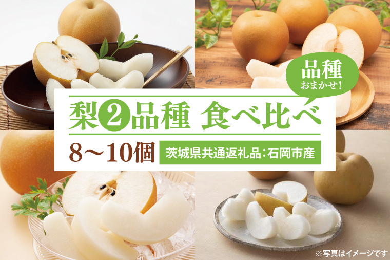 梨 2品種 食べ比べ 8～10個（茨城県共通返礼品：石岡市産） ※2024年8月～11月下旬頃に順次発送予定（CD072）