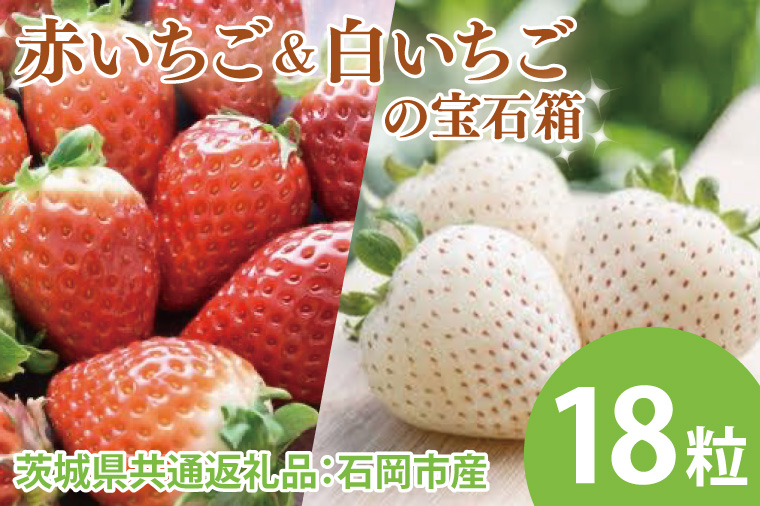 【先行予約】赤いちごと白いちごの宝石箱 18粒（茨城県共通返礼品：石岡市産）　※2024年12月初旬～2025年3月下旬頃に順次発送予定(CD005)