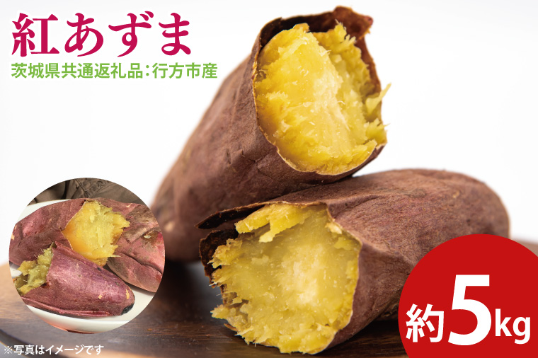【茨城県大子町】【先行予約】紅あずま 約5kg(茨城県共通返礼品:行方市産)※2025年10月上旬〜2026年3月下旬頃に順次発送予定(CD084)