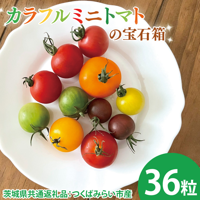 【茨城県大子町】【先行予約】カラフルミニトマトの宝石箱 36粒(茨城県共通返礼品:つくばみらい市産)※2026年1月上旬〜3月下旬頃に順次発送予定(CD093)