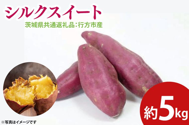 y錧qzys\zVNXC[g 5kgi錧ʕԗiFssYj2025N10{`2026N3{ɏ\iCD086j