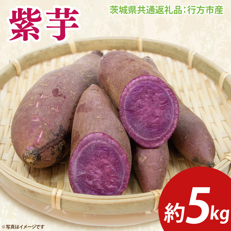 y錧qzys\z 5kgi錧ʕԗiFssYj2025N12{`2026N3{ɏ\iCD087j