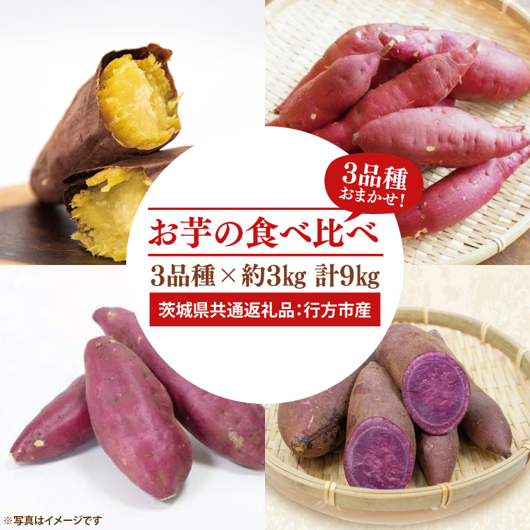 【茨城県大子町】【先行予約】お芋の食べ比べ さつまいも 3品種×約3kg 計9kg(茨城県共通返礼品:行方市産)※2025年10月上旬〜2026年3月下旬頃に順次発送予定(CD088)