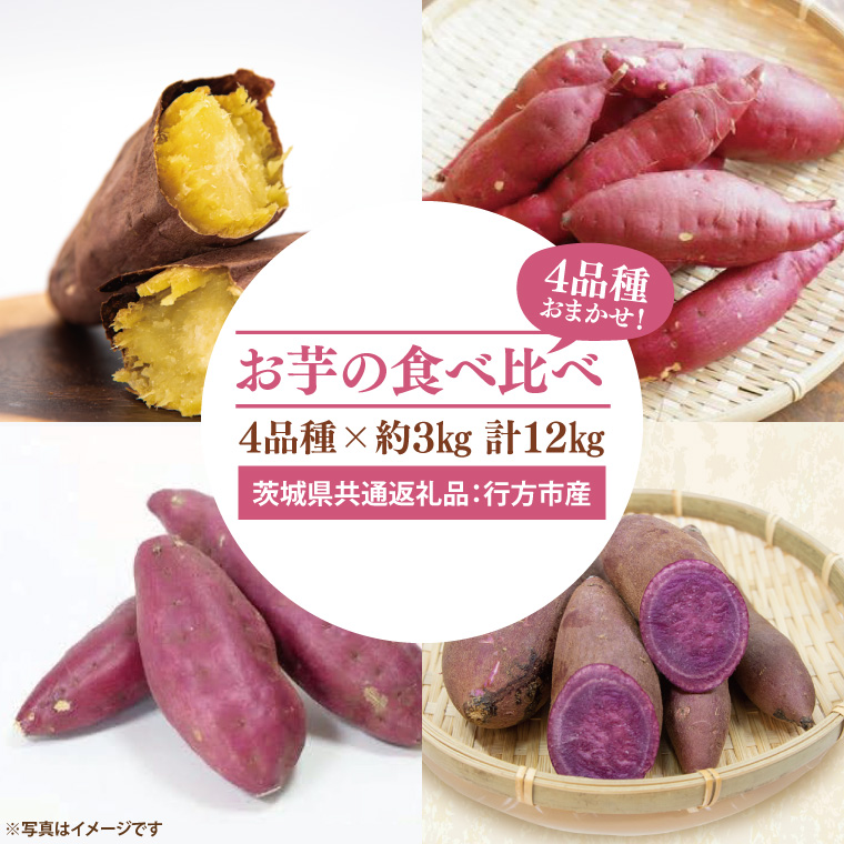 y錧qzys\z̐Hה ܂ 4i×3kg v12kgi錧ʕԗiFssYj2025N10{`2026N3{ɏ\iCD089j