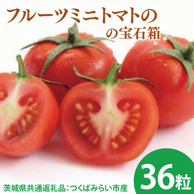【茨城県大子町】【先行予約】フルーツミニトマトの宝石箱 36粒(茨城県共通返礼品:つくばみらい市産)※2026年1月上旬〜3月下旬頃に順次発送予定(CD091)