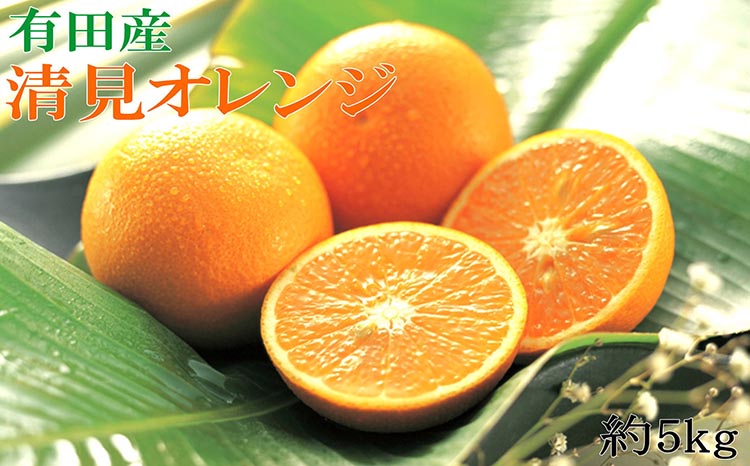 和歌山県産 JA紀南 木熟ポンカン 3LからL 秀品 約2.5キロ（12玉