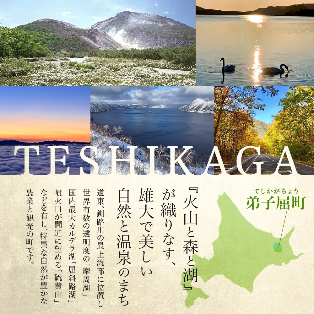 北海道弟子屈町のふるさと納税 3366.  うに 100g いくら醤油漬け 200g ウニ チリ産 冷凍 いくら 二色丼 雲丹 イクラ 海鮮 海鮮丼 うに丼 いくら丼 いくら醤油漬け 送料無料 北海道 弟子屈町
