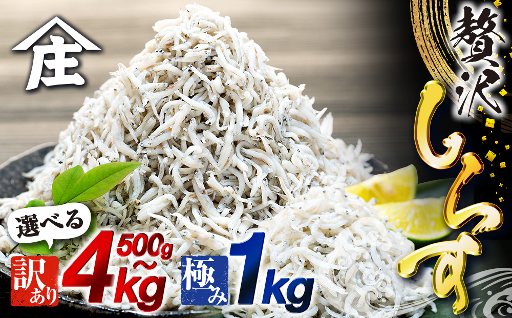 ymmz炷 500g ` 4kg 󂠂 Ⓚ ߂  炷  ɂ ͂  pX^ `[n T_   R m m t