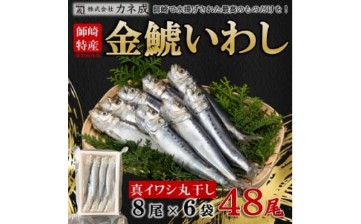 【ふるさと納税】 いわし 丸干し 48尾 ( 8尾 × 6 パック ) 干物 冷凍 小分け 愛知県 南知多町 ご飯 ごはん おかず おつまみ 魚 さかな 鰯 金鯱 イワシ 栄養 料理 カネ成 国産 人気 おすすめ 