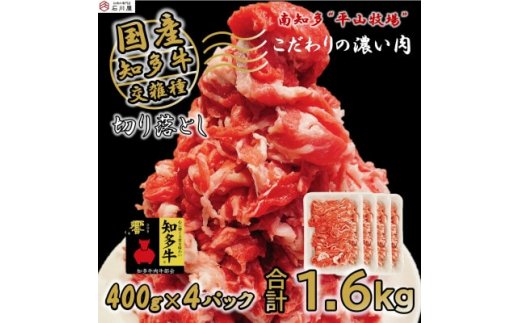 牛肉 切り落とし 400g×4P 計1.6kg  (10人前) 知多牛 響