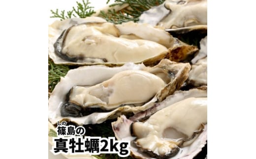 【愛知県南知多町】牡蠣 殻付き 真牡蠣 2kg 生食用 冷凍 海鮮 貝 海産物 バーベキュー BBQ 魚貝類 海の幸 海のミルク 海鮮浜焼き 夏 おすすめ 人気 愛知県 南知多町 篠島【配送不可地域:離島】