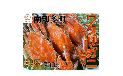 ymmz^Kj 700g 3t Ⓚ {C^Kj nI CN VN  C̍K CY V[t[hGEG m m