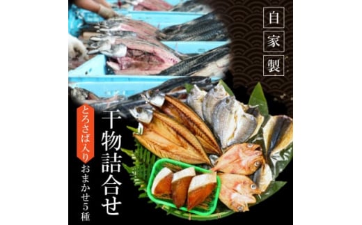 ＜南知多町・美浜町共通返礼品＞魚太郎名物＜とろさば＞入り・自家製ひもの5種おまかせセット