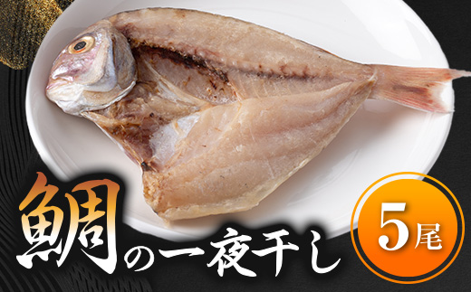 【愛知県南知多町】鯛 一夜干し 5尾 冷凍 たい 個包装 国産 無添加 鯛茶漬け 炊き込みご飯 鯛めし 海鮮 新鮮 魚介 海の幸 海産物 シーフードエム・エム 愛知県 南知多町