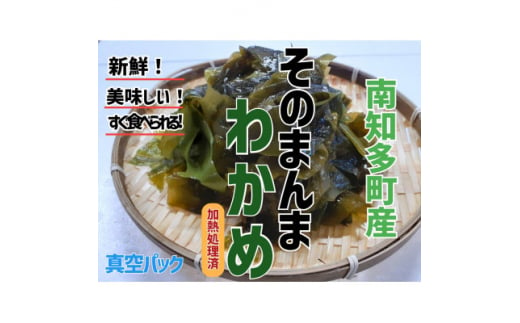 真空 そのまんま わかめ 100g × 6 パック 冷凍 真空パック ワカメ 味噌汁 サラダ  海鮮 新鮮 魚介 海の幸 海産物 刺身 国産 シーフードエム・エム 愛知県 南知多町