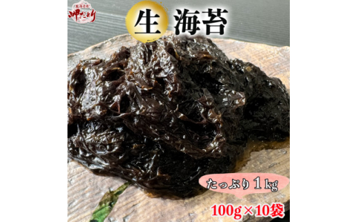 岬だより 生海苔(冷凍)100g×10袋(1kg)