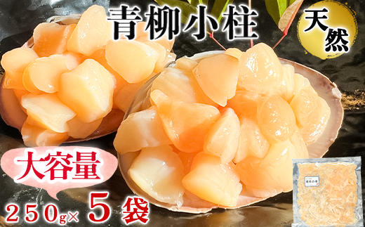 岬だよりの＜貝専門店＞天然の青柳小柱　250g×5袋