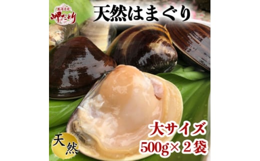 岬だよりの 希少 天然はまぐり 大サイズ 500g×2袋