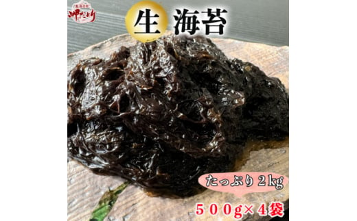 岬だよりの生海苔(冷凍)500g×4袋(2kg)