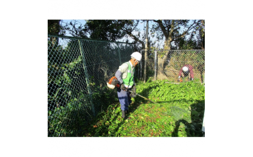 【愛知県南知多町】草刈り作業 18,000円引きクーポン