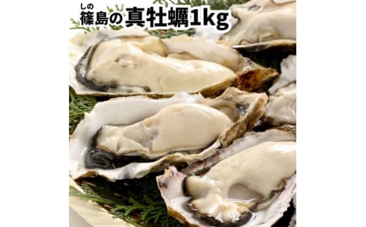 【愛知県南知多町】特上・篠島の殻付き真牡蠣1kgセット(生食用かき・CAS冷凍カキ)海鮮バーベキューBBQ、浜焼きに
