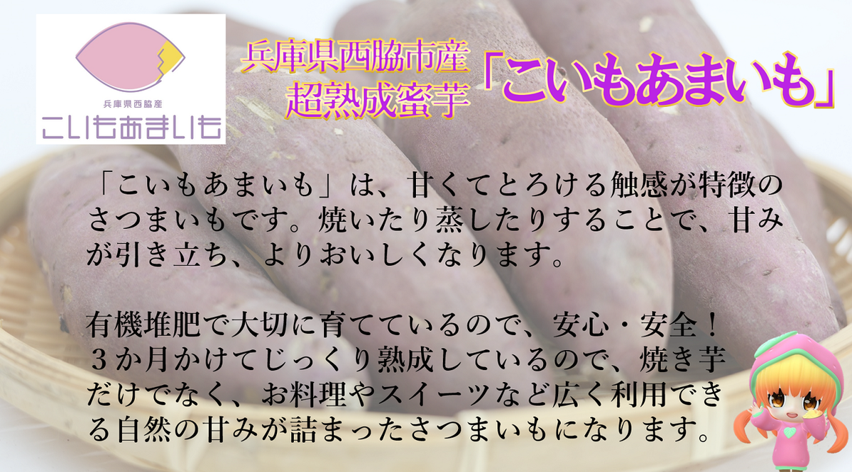 兵庫県西脇市のふるさと納税 【訳あり】超熟成蜜芋 土付きふそろいさつまいも「こいもあまいも」2Sサイズ 合計６kg（05-60）　紅はるか