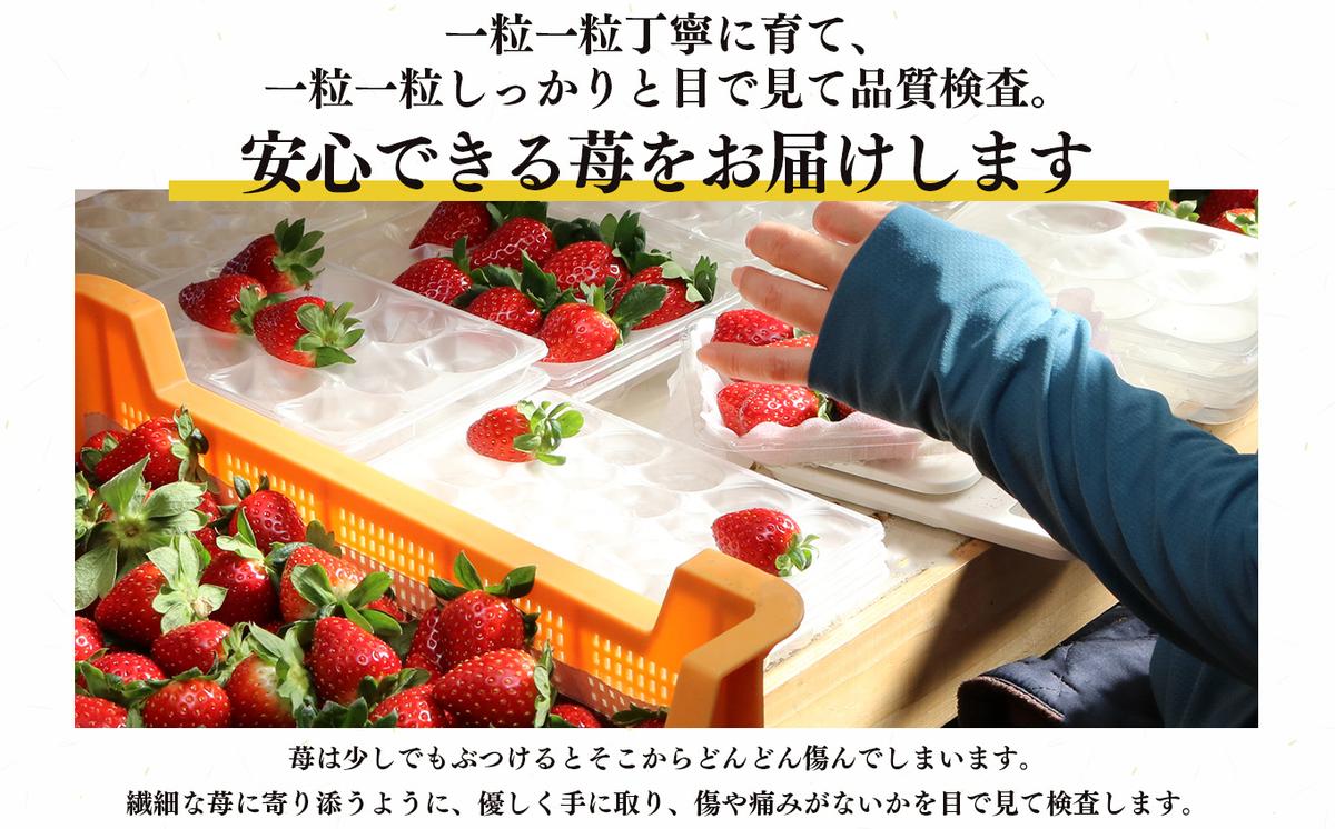 19日まで】YOGINI FOOD 100 フルーツミックス21袋＋4袋_3
