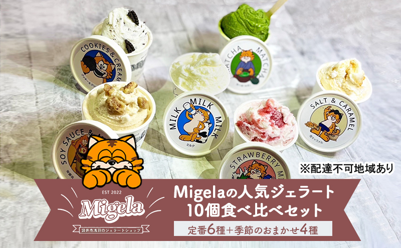 【静岡県袋井市】Migelaの人気ジェラート 10個 食べ比べ セット 定番6種+季節のおまかせ4種 ジェラート アイス デザート Migela 静岡 袋井市