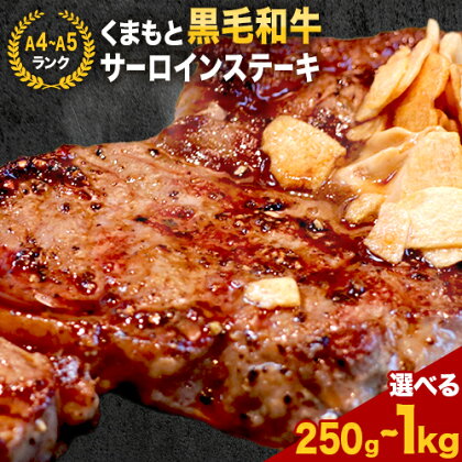 [A4〜A5]くまもと黒毛和牛 サーロインステーキ 選べる 250g 500g 1kg [30日以内に出荷予定(土日祝除く)] 牛肉 くまもと黒毛和牛 黒毛和牛 冷凍庫 サーロイン ステーキ