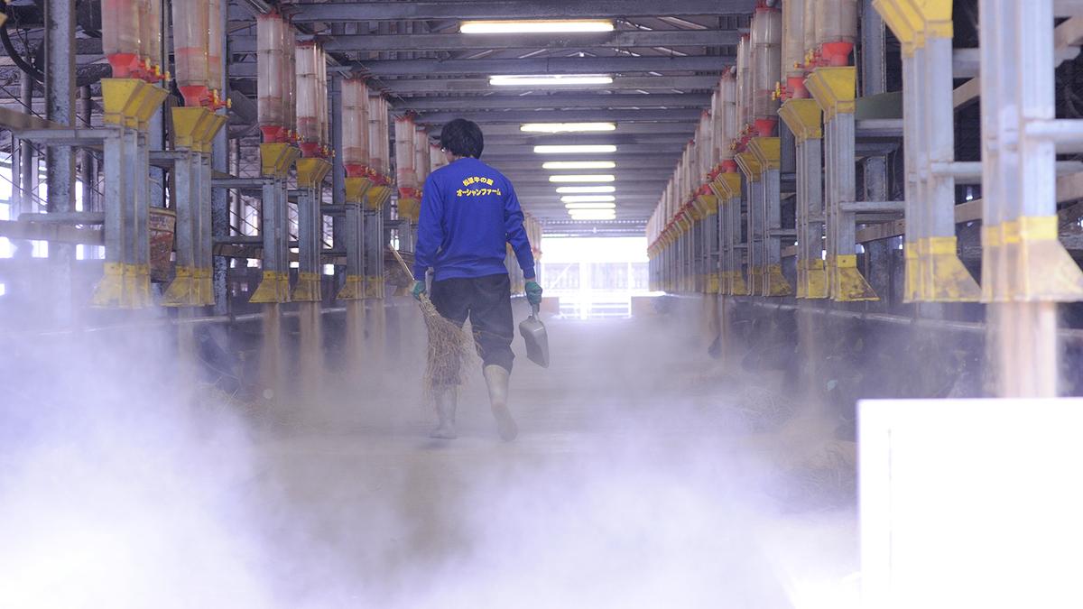 SS-23 松阪牛赤身ステーキ / 三重県多気町 | セゾンのふるさと納税